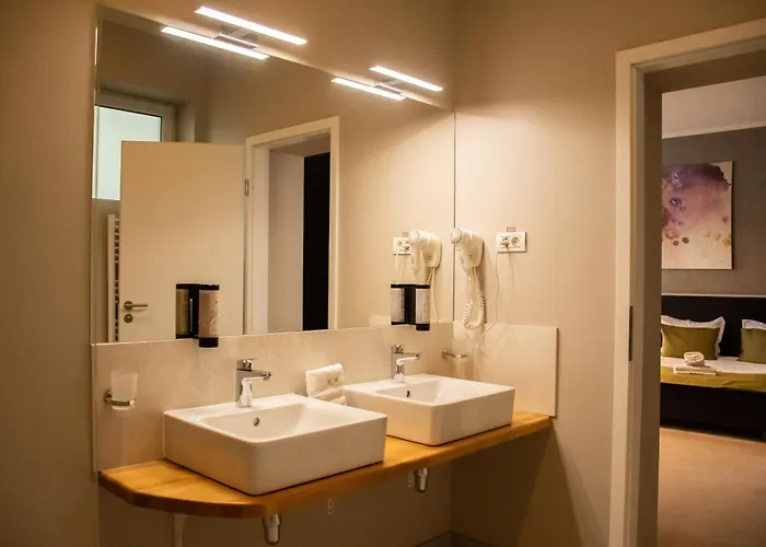 Hirscher 14 ブラショフ