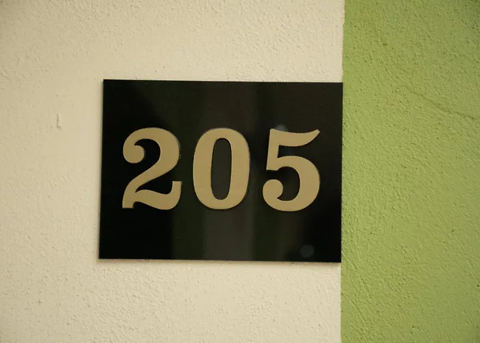 Hirscher 14 ブラショフ