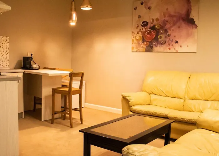 Hirscher 14 アパート ブラショフ